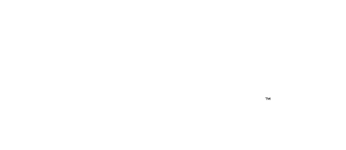 Big T Bailey Basketball